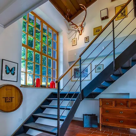 Kuenstlervilla Mit Grandiosem Panoramablick فيشباكاو