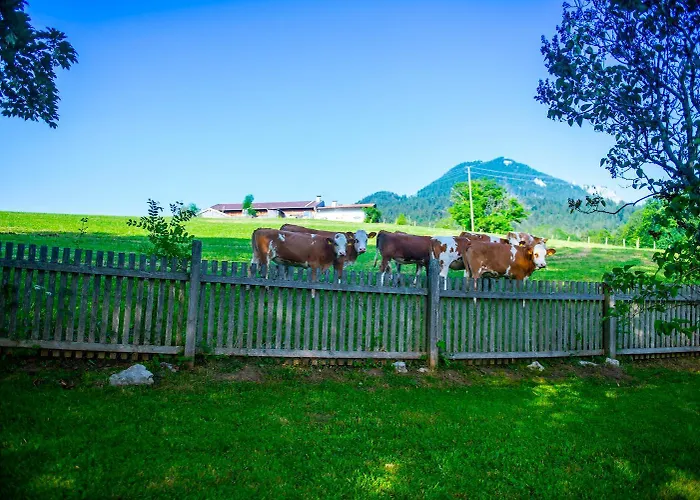 فيلة Kuenstlervilla Mit Grandiosem Panoramablick فيشباكاو